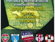 Więcej o Turniej Żwirex Cup 2018 „Gramy dla Bartka”